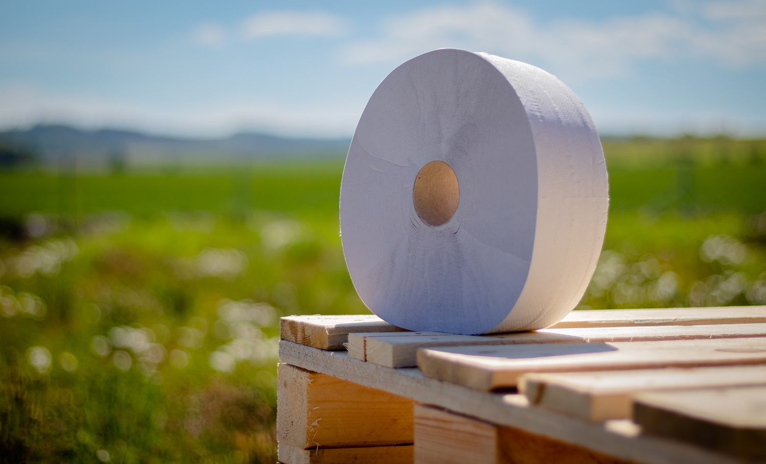 Toaletní papír Jumbo 280, 2vr recykl 65% bělost, 220m (6ks)